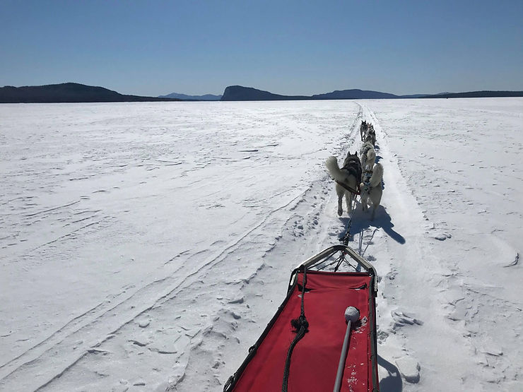 Sled dog team on Moosehead Lake