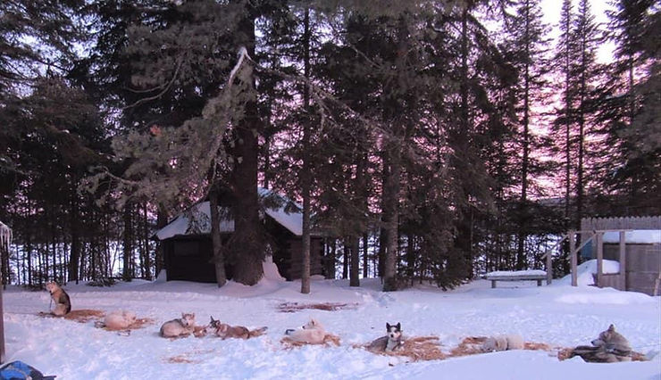 Dogsled team departing Chamberlain Lake