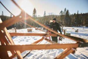 bbe482 1d97e84e51fb456d80793bead9a3d922~mv2