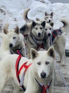 423455228 7771057432906813 7502848409787994713 n