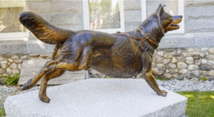 maines official state dog 005 bronze togo statue maine