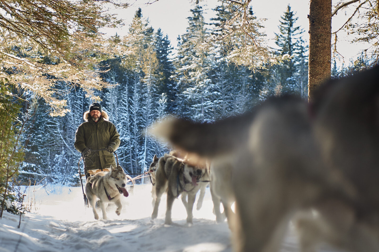 Mushers Path MushMaine Tours – Poland Spring Seppala Sleddogs Kennel