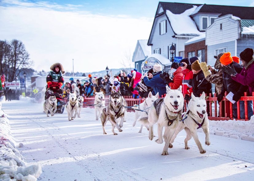 Mushing team on the trail
