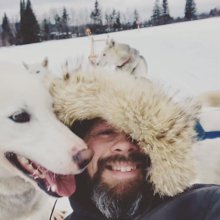 Sled dog team in Maine woods