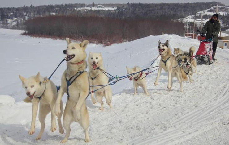 Mushing along the Heritage Trail