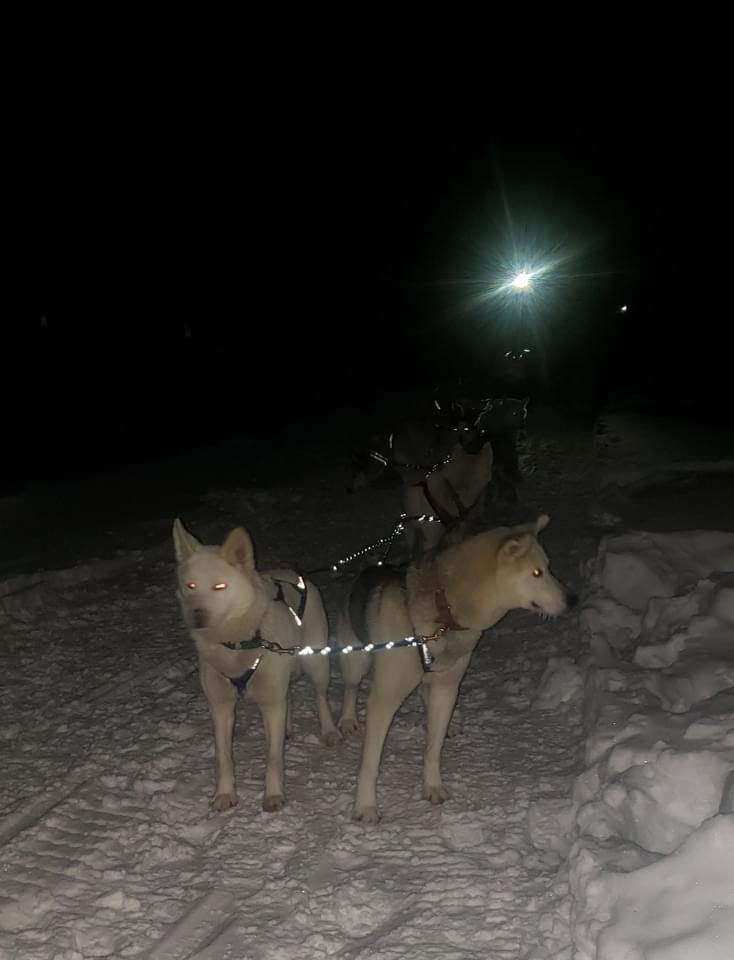 Resting after a long day of mushing