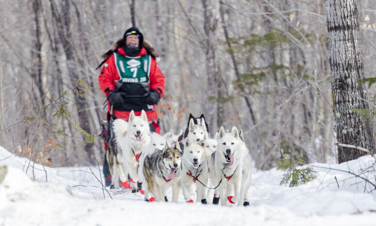 One Hundred Miles in- Druid and Kineo leading the way. Photo courtesy of Anastasia Paradis